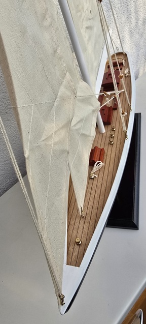 Americans Cup Segler 3